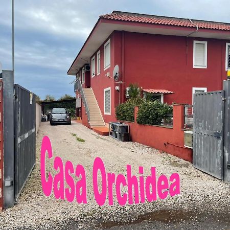 Apartament Casa Orchidea Fiumicino Zewnętrze zdjęcie