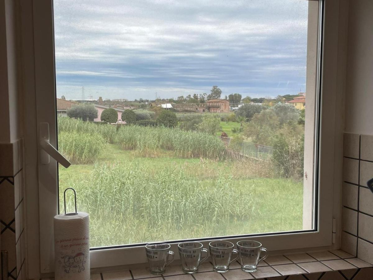 Apartament Casa Orchidea Fiumicino Zewnętrze zdjęcie